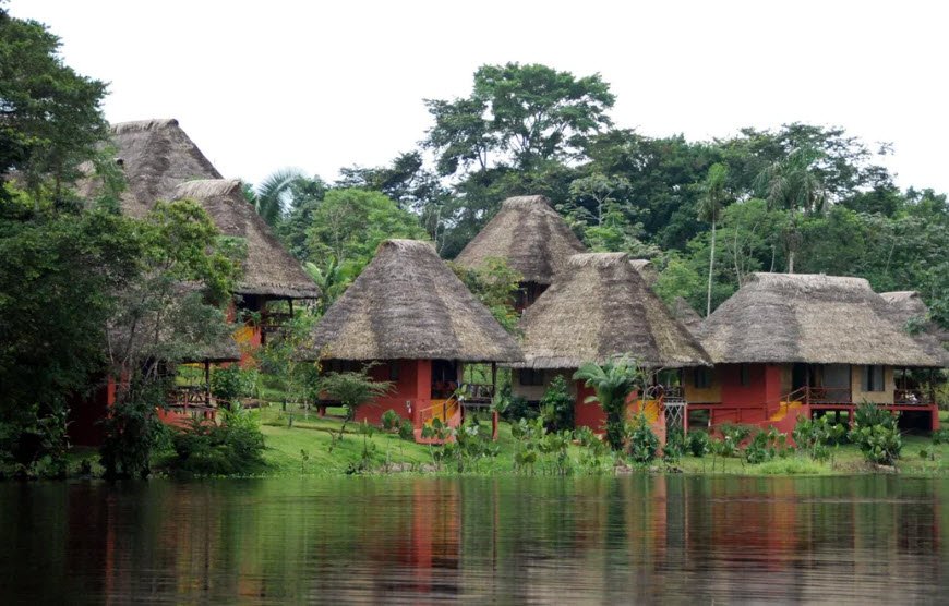 Yasuni National Park, Orellana Province, Ecuador